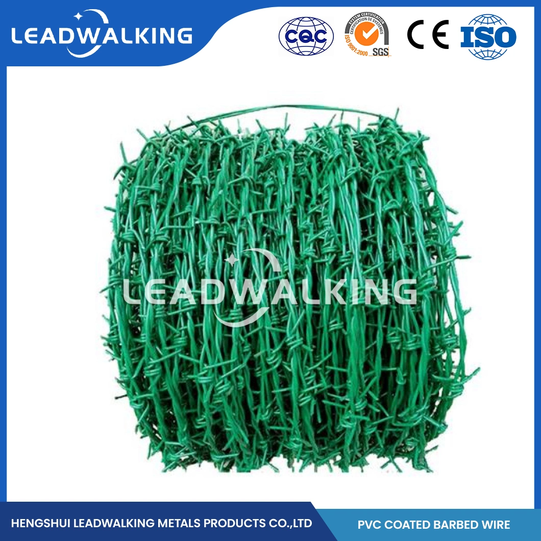 Leadwalking Wall Spike Barbed Wire Suppliers Wholesale High Tensile Galvanized Barbed Wire China 50mm Needle Spacing 50kg Weight Barbed Wire