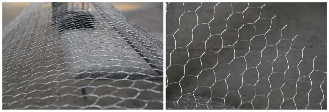 PVC Coated Galvanized Hexagonal Chicken Wire Mesh Wire Netting Gabion Mesh