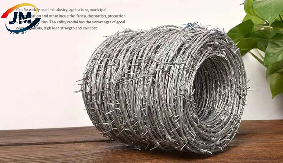 Hot Dipped Galvanized Barbed Wire for Mesh Security Fencing