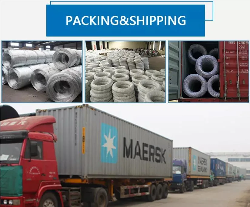 Hot Dipped Galvanized Steel Wire Factory! Q195 Q235 12/ 16/ 18 Gauge Electro Galvanized Gi Iron Binding Wire