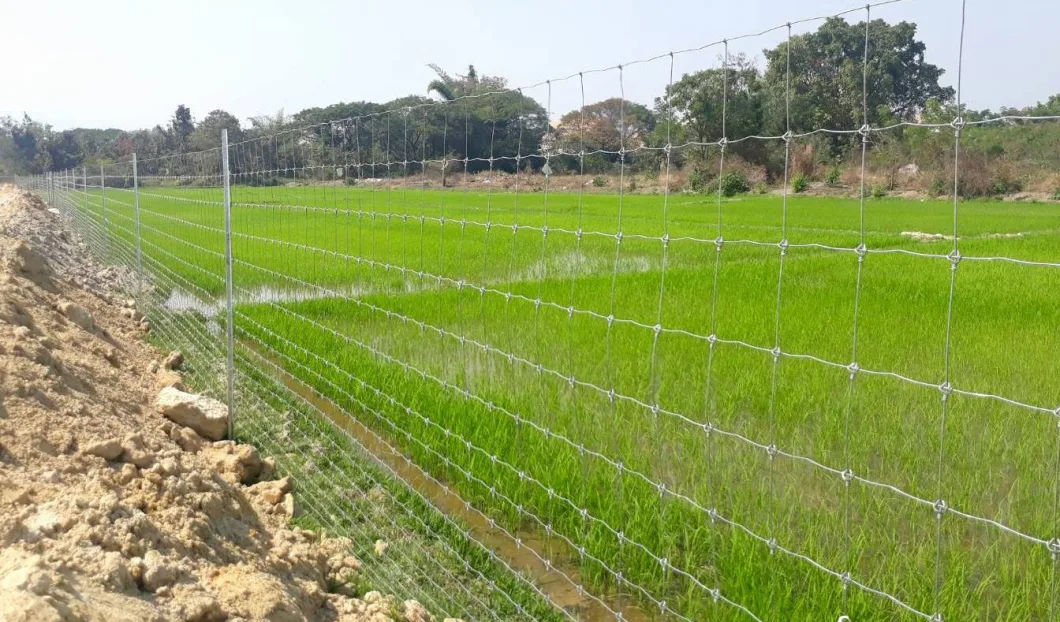 Highest Quality Agricultural Farm Guard Galvanized Field Fence