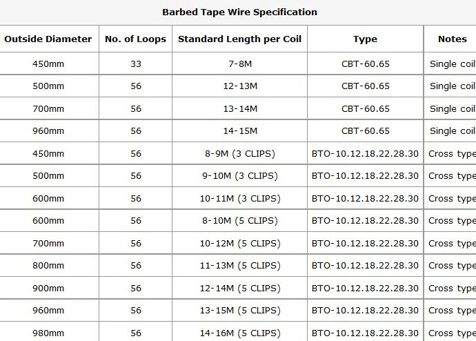 Security Protected Razor Barbed Wire (BTO-28)