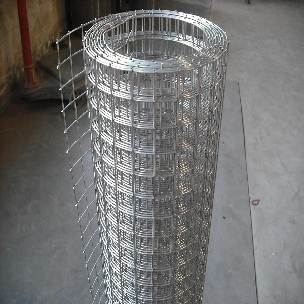 Hot Dipped Galvanized Welded Wire Mesh 1/2