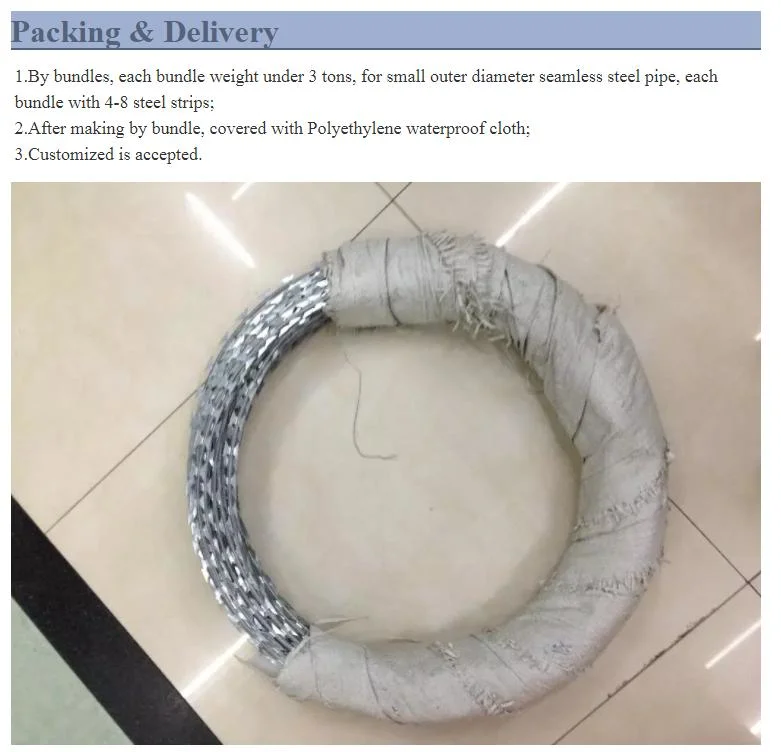 Coil Diameter Concertina Barbed Wire/Brazil Bto30 Razor Wire Wall