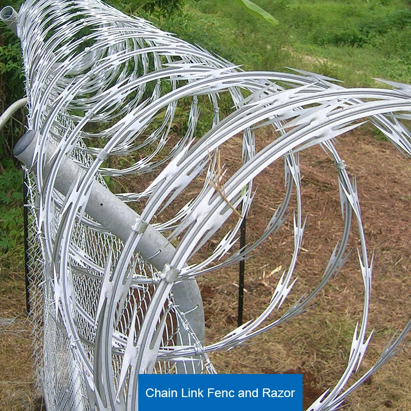 High Strength Reverse Twisted Barbed Wire/Razor Concertina Fence/Wall Spikes