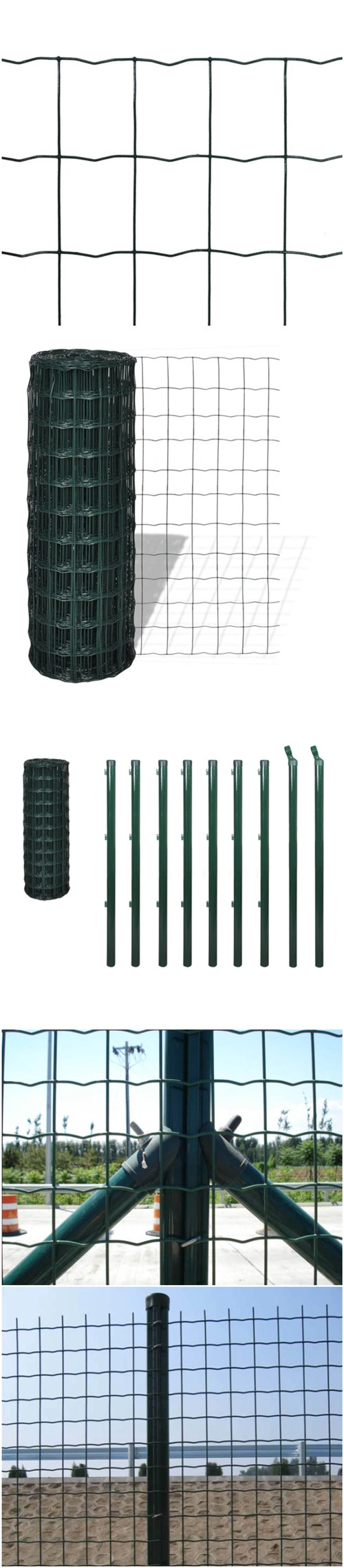 Green PVC Coated Euro Fence Welded Wire Mesh Fence Garden Fence Euro Wire Fence