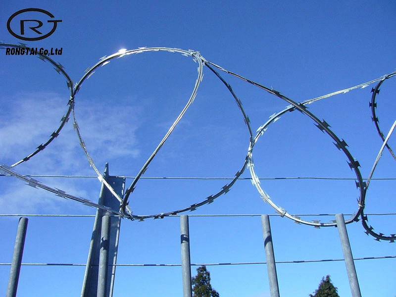 Factory Price Concertina Razor Wire Fencing for Protection