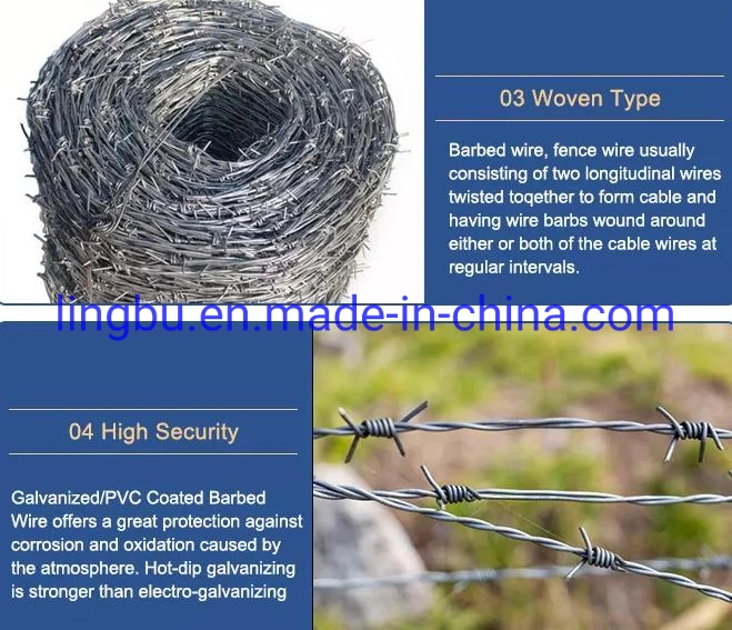 High Tensile Galvanized Barbed Wire for Agriculture Fence and Land Boundaries