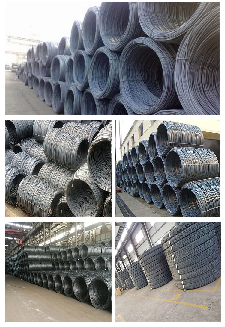 Hot/Electro DIP Galvanized Steel Wire Low Carbon Iron Wire for Mesh Chinese Manufacturer Best Price 0.5-5.0mm