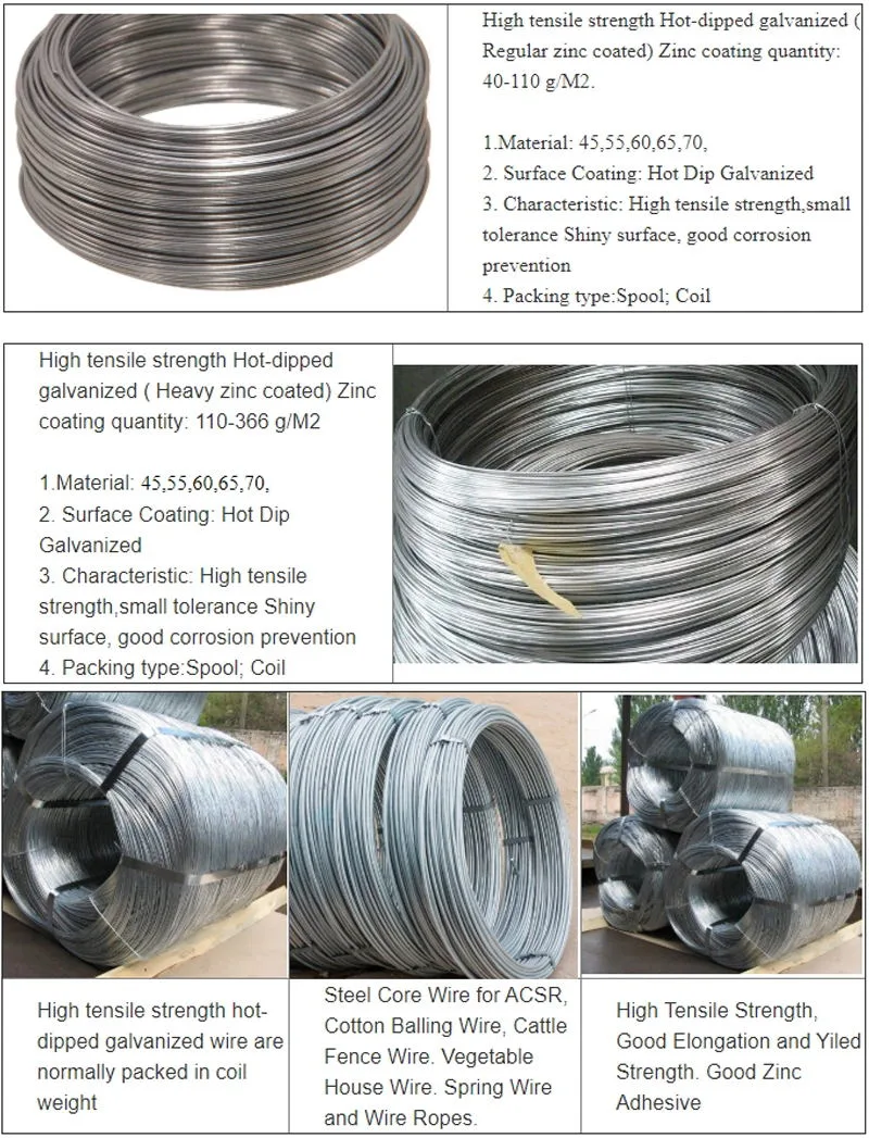 2.5mm-5.5mm Iron Wire Q195 Q235 12/ 16/ 18 Gauge Hot Dipped Electro Galvanized Gi Iron Binding Wire