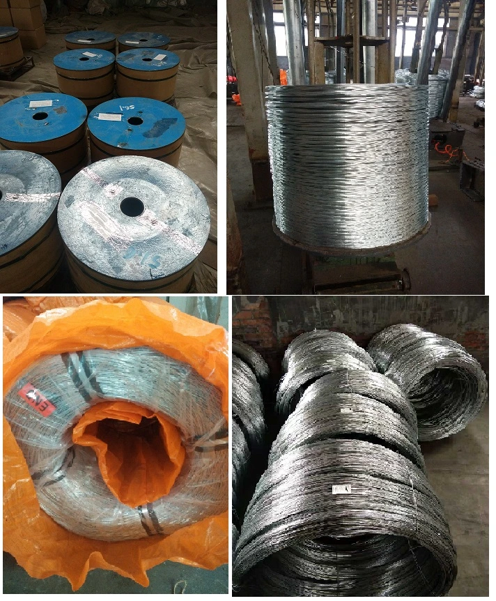 Q195 Q235 12/ 16/ 18 Gauge Electro Galvanized Gi Iron Binding Wire