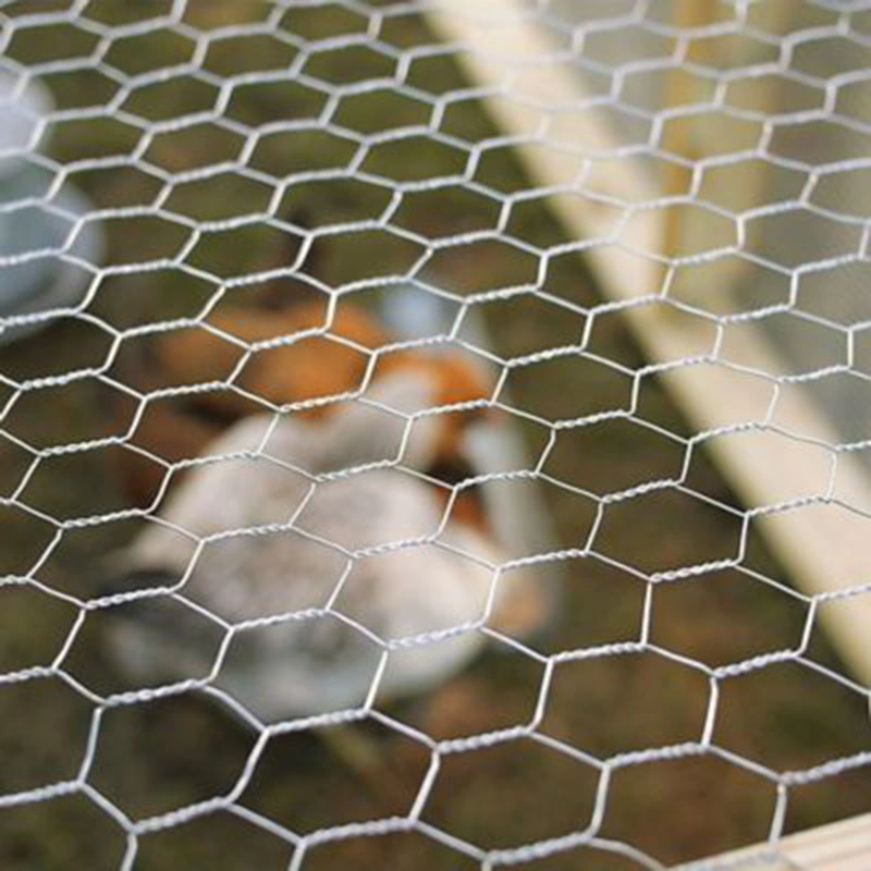 Chicken Wire Mesh with Hexagonal Netting Galvanized Fence Chain Link