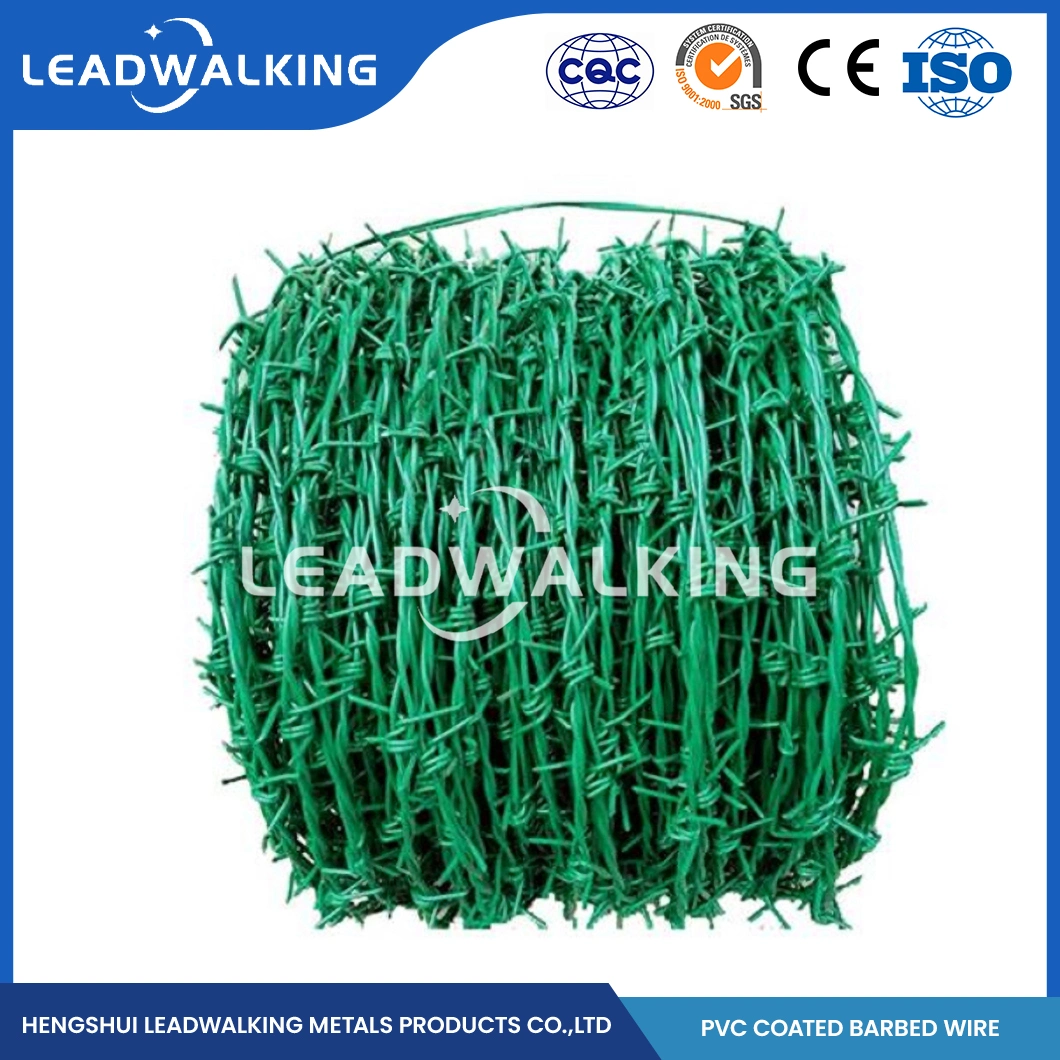 Leadwalking Wall Spike Barbed Wire Suppliers Wholesale High Tensile Galvanized Barbed Wire China 50mm Needle Spacing 50kg Weight Barbed Wire