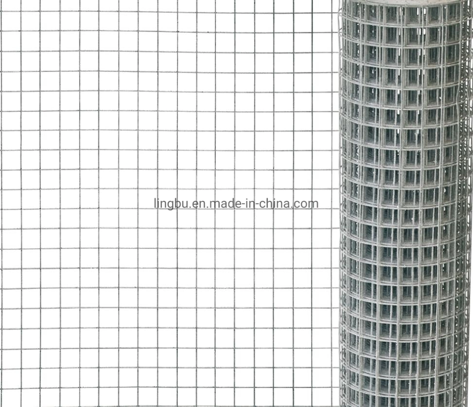 Hot Dipped Galvanized Welded Wire Mesh 1/2