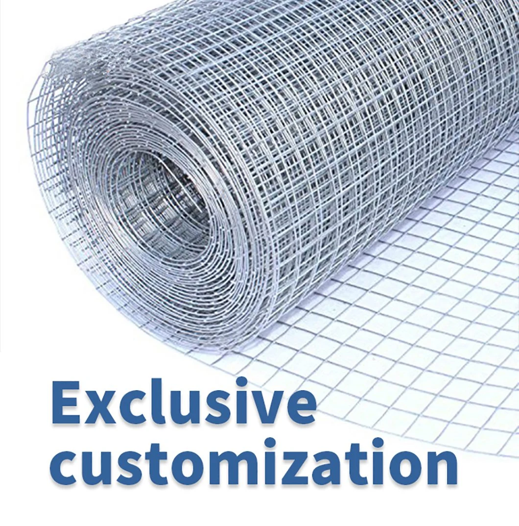 High Quality Wire Mesh Hot Dipped Galvanized or Electro Galvanized Welded Mesh Wire