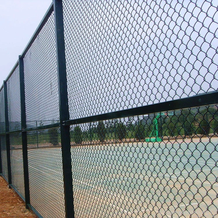 Green Color PVC Coated Chain Link Mesh (R-GHW) Galvanized Wire Mesh