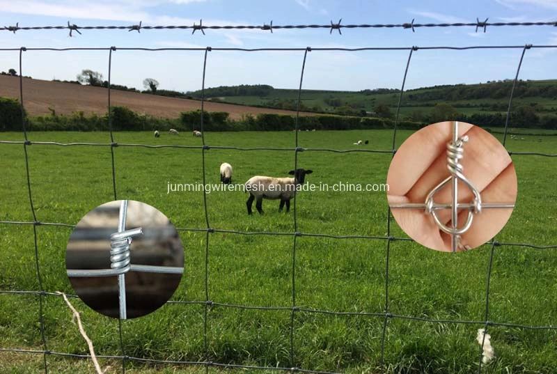 Hot Dipped Galvanized Fixed Knot Hinge Joint Fence/Field/Farm/Cattle Deer Horse Sheep Wire Mesh Fence 5 6 7 8FT for Grassland