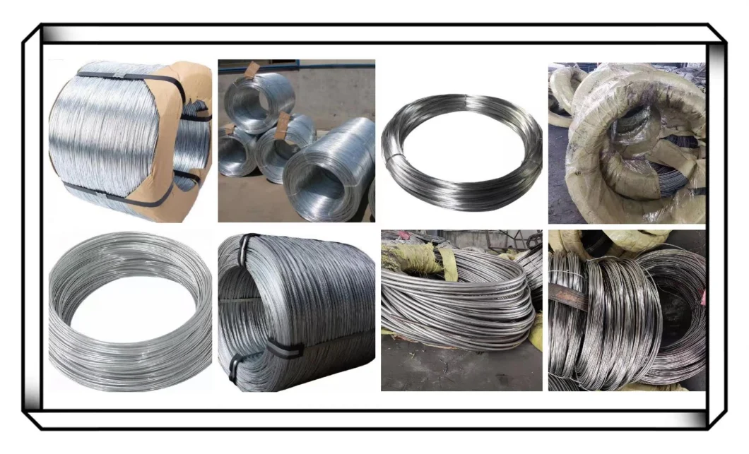 Hot Dipped Galvanized Steel Wire Factory! Q195 Q235 12/ 16/ 18 Gauge Electro Galvanized Gi Iron Binding Wire